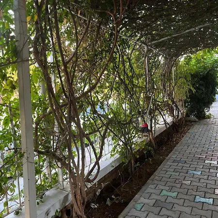 Aparthotel Begonvil Garden *